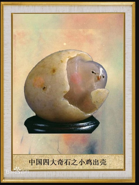 小鸡出壳（中国四大奇石之一）