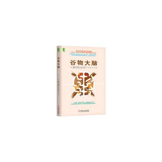 谷物大脑