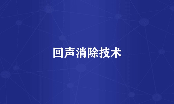 回声消除技术