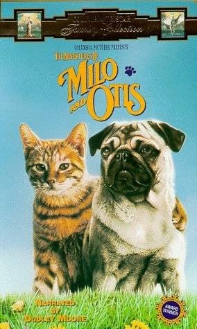 子猫物语（日本1986年畑正宪执导的家庭电影）