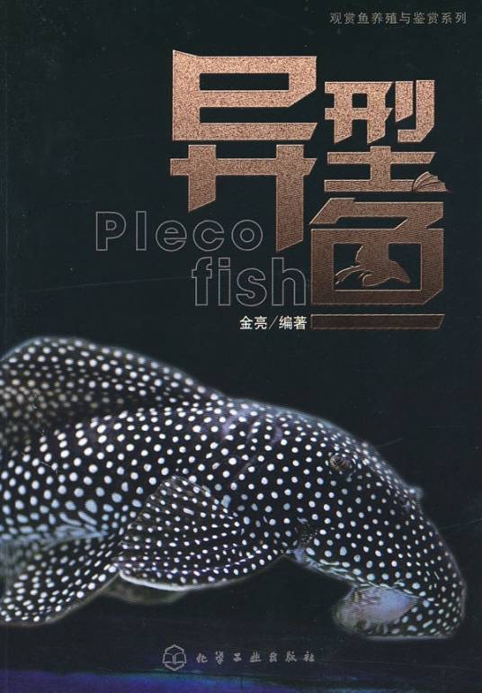 异型鱼