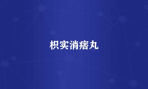 枳实消痞丸