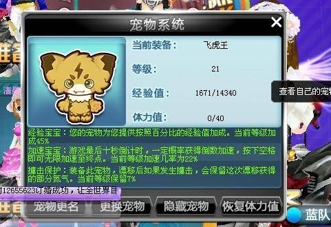 qq飞车宠物
