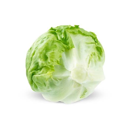 球生菜