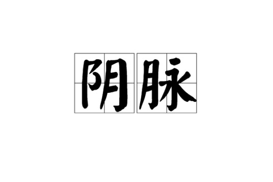 阴脉(人体奇经八脉之一)