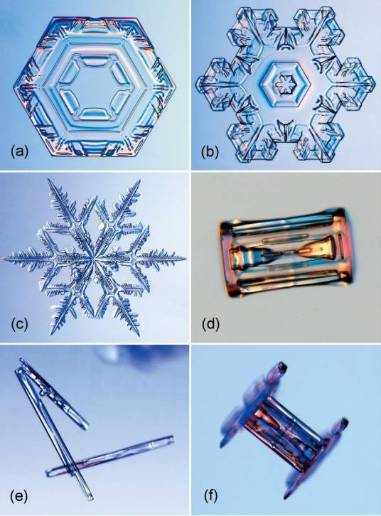 雪花（自然现象）