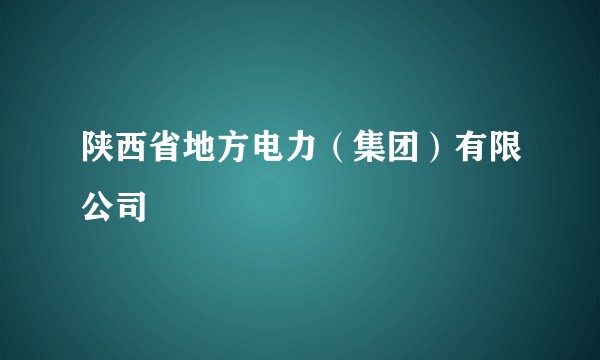 陕西省地方电力（集团）有限公司