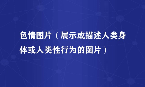 色情图片（展示或描述人类身体或人类性行为的图片）