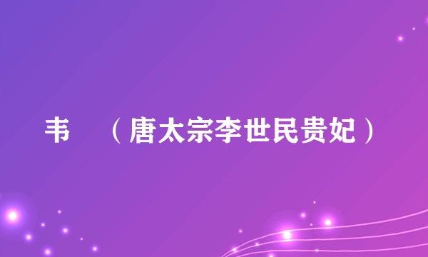 韦珪（唐太宗李世民贵妃）