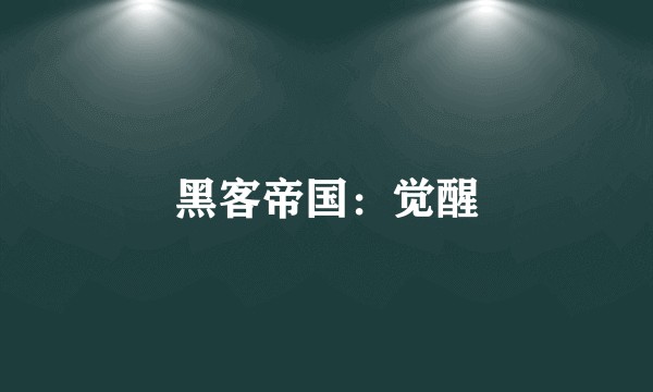 黑客帝国：觉醒