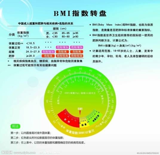 瘦身计划（减肥计划）
