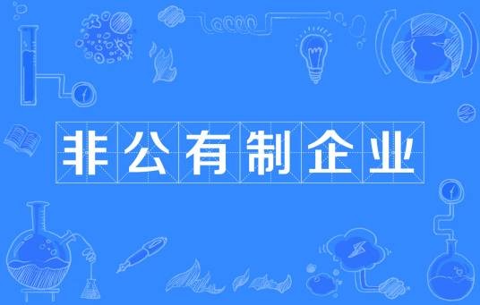 非公有制企业