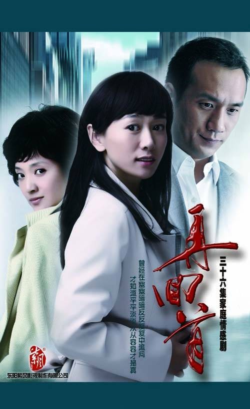 再回首（2011年斗琪执导电视剧）