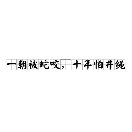 一朝被蛇咬，十年怕井绳