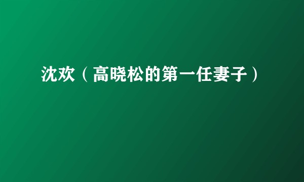 沈欢(高晓松的第一任妻子)