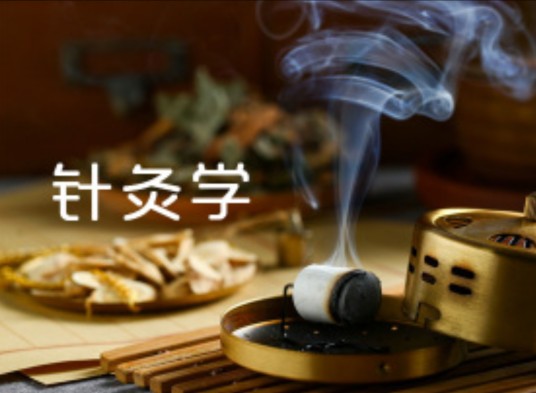 针灸学（湖北中医药大学建设的慕课）