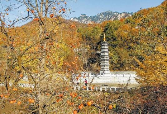 云岩寺（河南省洛阳市云岩寺）