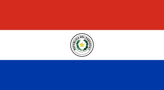 巴拉圭共和国国旗