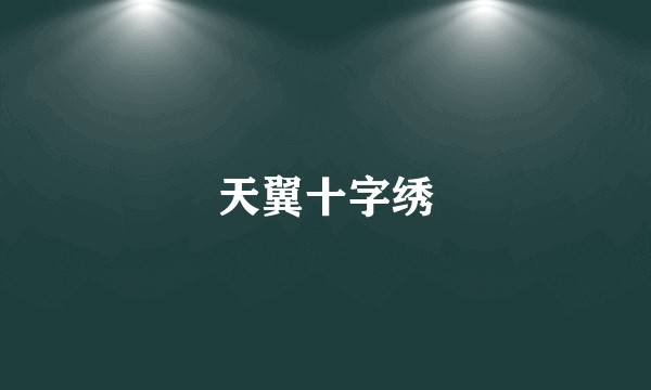 天翼十字绣