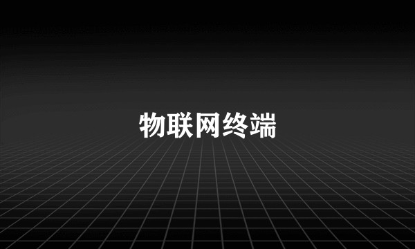物联网终端