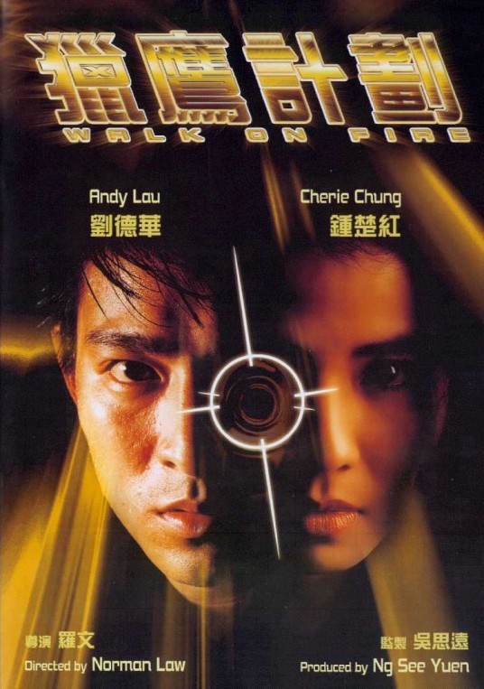 猎鹰计划（1988年罗文执导的动作电影）