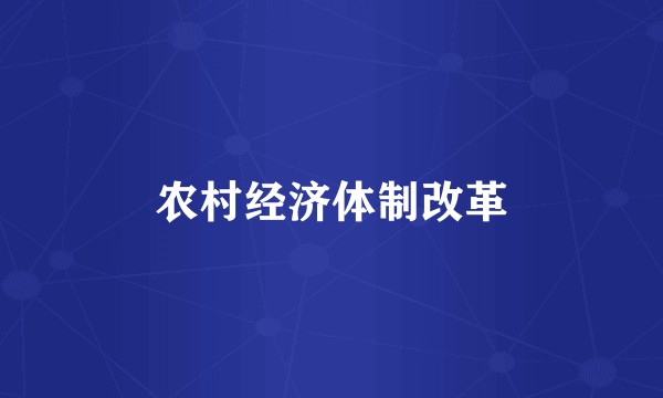 农村经济体制改革