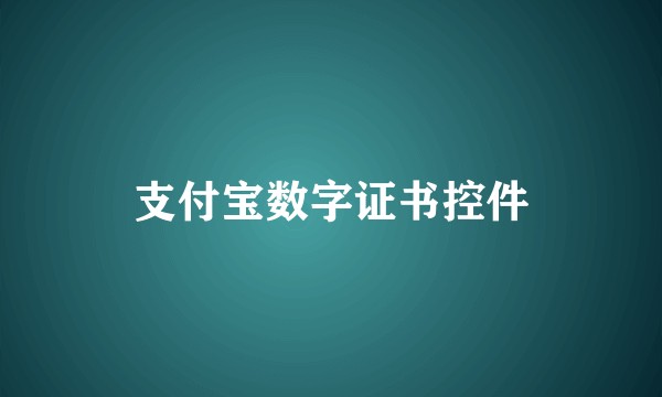 支付宝数字证书控件