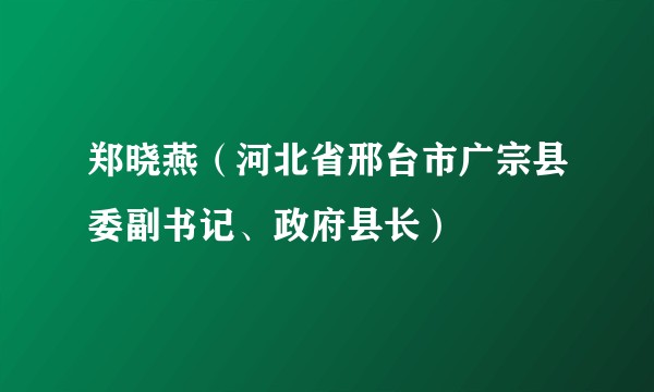 郑晓燕（河北省邢台市广宗县委副书记、政府县长）