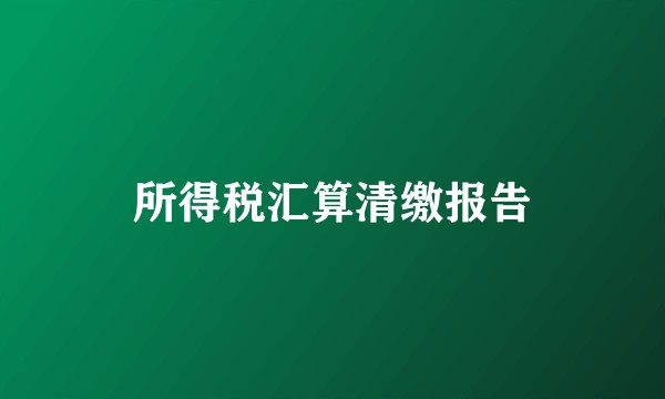 所得税汇算清缴报告