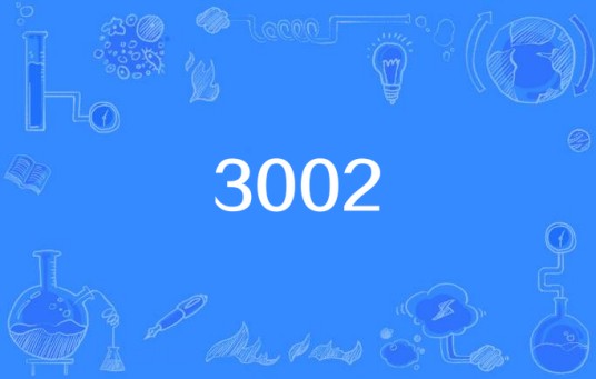3002