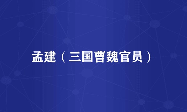 孟建（三国曹魏官员）