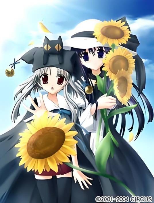 水夏(CIRCUS发售的游戏)
