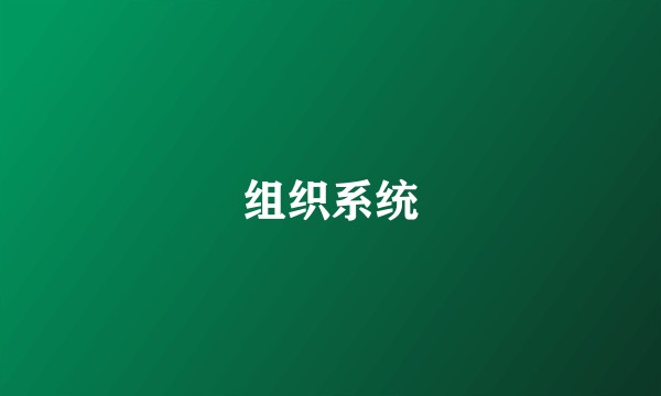 组织系统