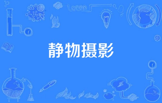 静物摄影（文化术语）