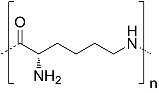 聚赖氨酸