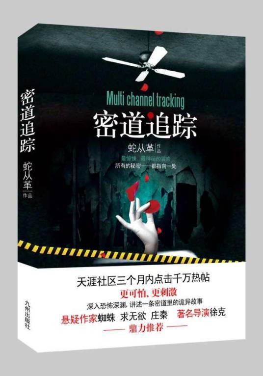 密道追踪(蛇从革创作的盗墓系列小说)