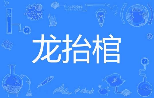 龙抬棺（三两二钱著网络小说）