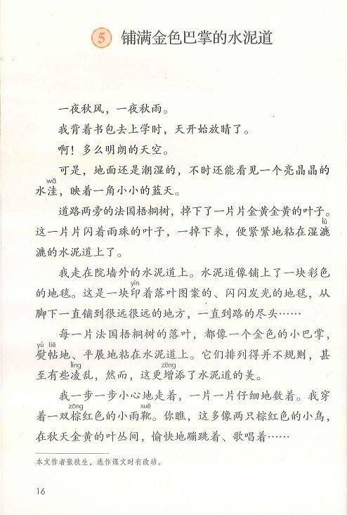 铺满金色巴掌的水泥道（张秋生创作的散文）