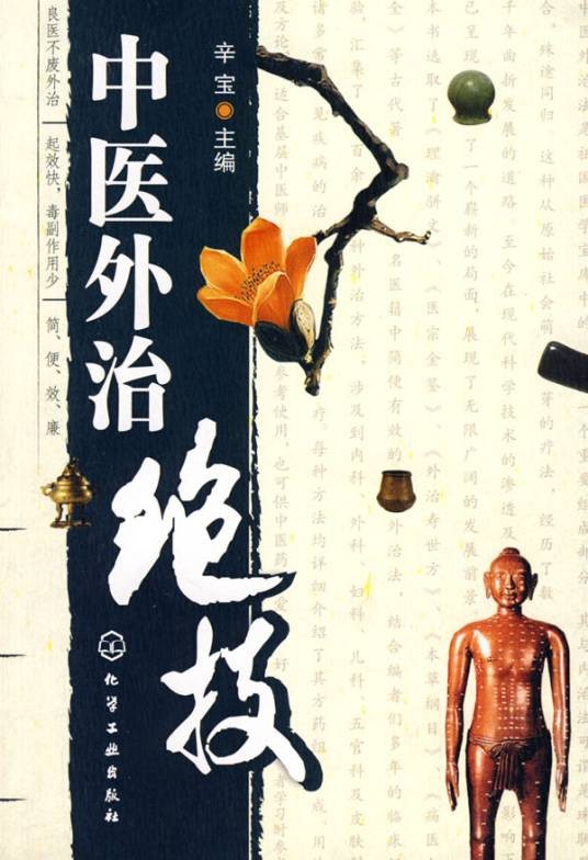 中医外治（中医治疗方法）