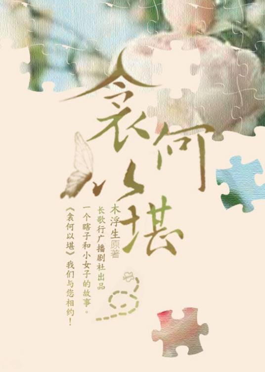 衾何以堪（2009年国际文化出版公司出版的图书）
