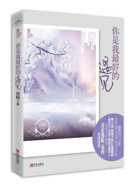 你是我最好的遇见（2012年青岛出版社出版的图书）