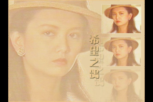 希望之鸽（1990年孙兴、曾华倩主演电视剧）
