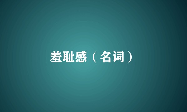 羞耻感（名词）