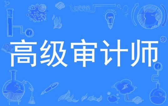 高级审计师
