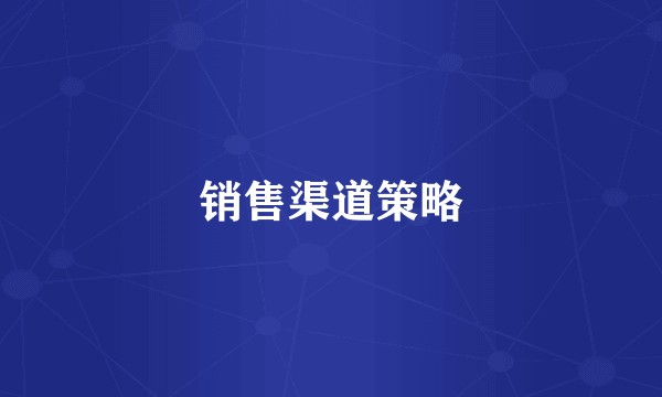 销售渠道策略
