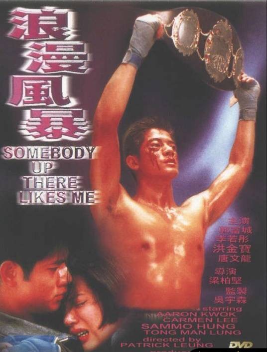 你是我的英雄（1996年梁柏坚执导的动作电影）