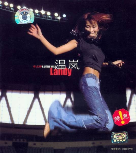 仰望天空（温岚演唱歌曲）