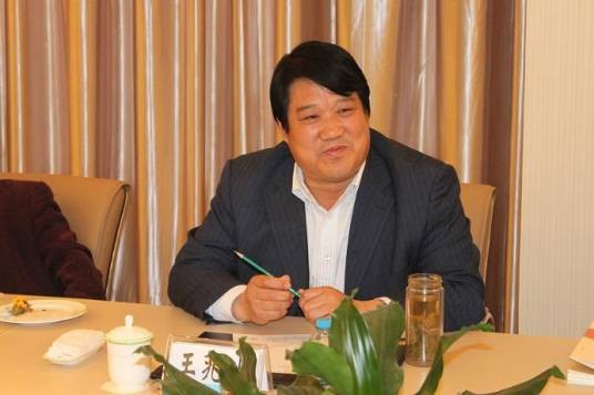 王兆山（中国作家协会会员）