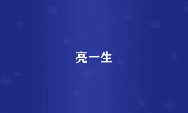 亮一生