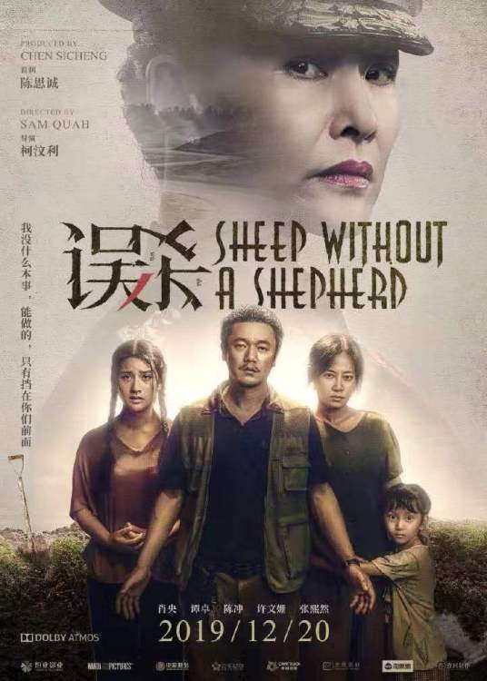 误杀（2019年柯汶利执导、肖央主演的悬疑犯罪电影）
